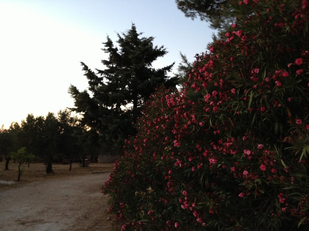 La Giara San Vito Lo Capo Villa กัสเตลลุซโซ ภายนอก รูปภาพ