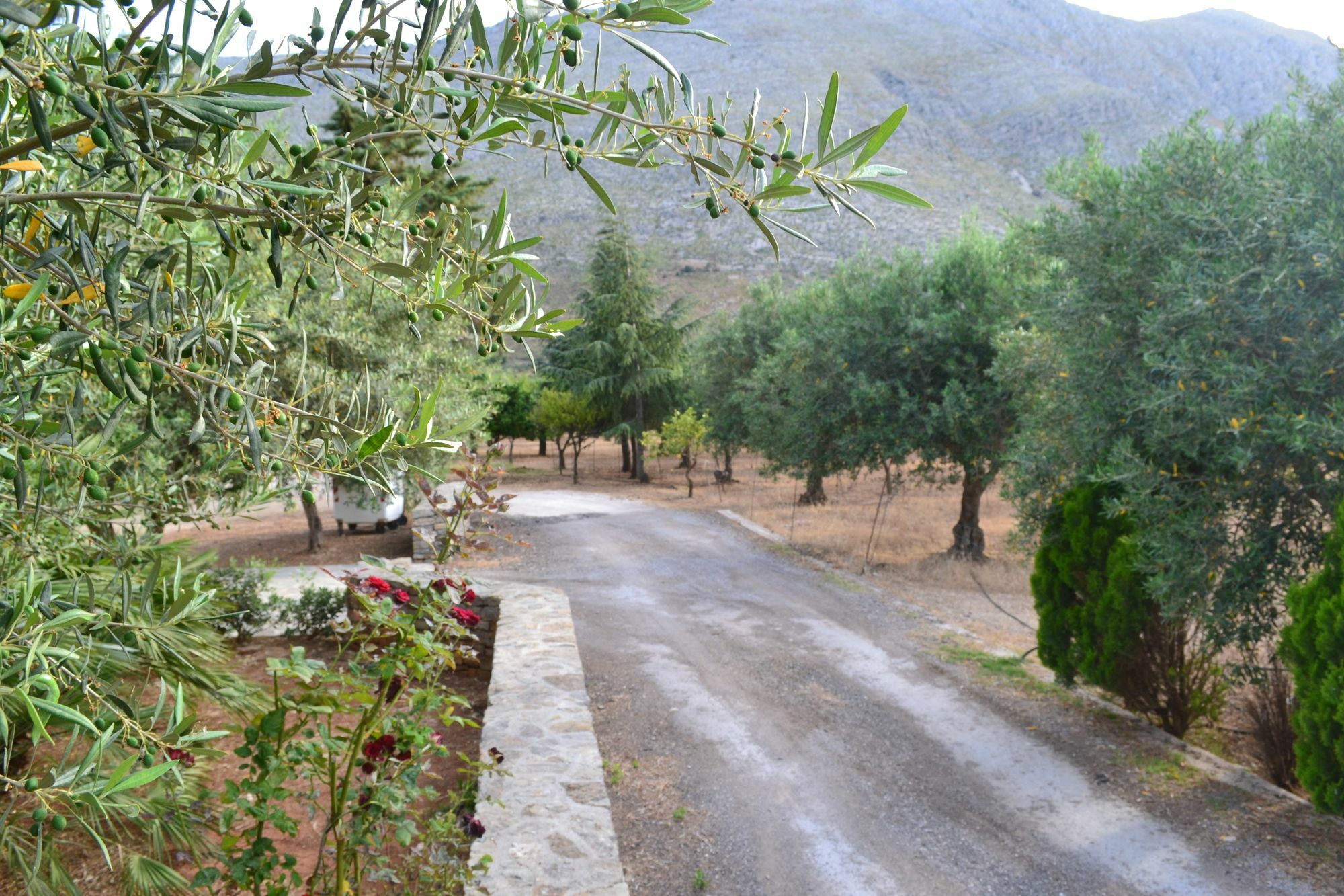 La Giara San Vito Lo Capo Villa กัสเตลลุซโซ ภายนอก รูปภาพ